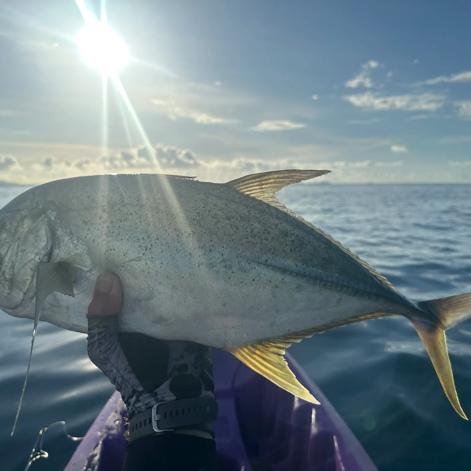 The most popular recent Brassy trevally catch on Fishbrain