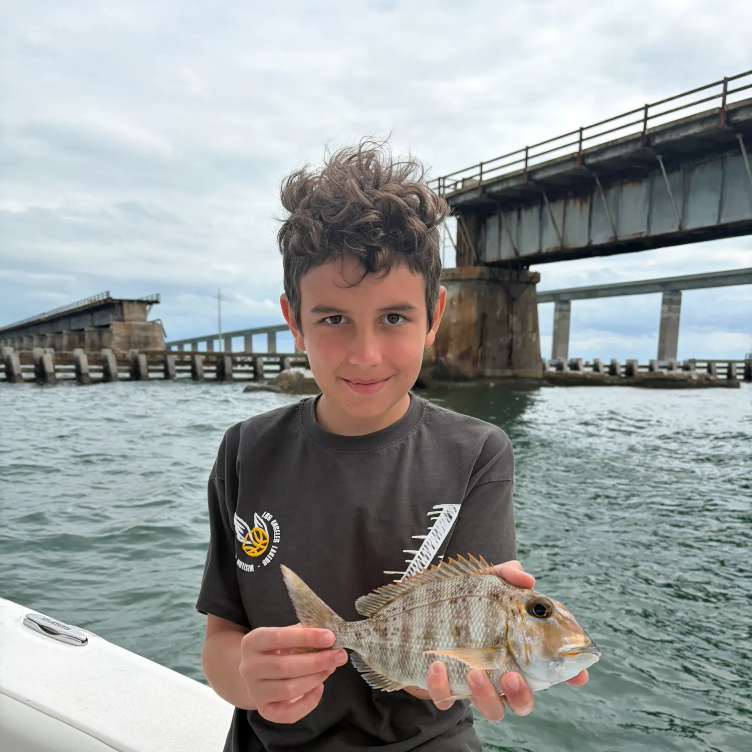 The most recent Jolthead porgy catches on Fishbrain