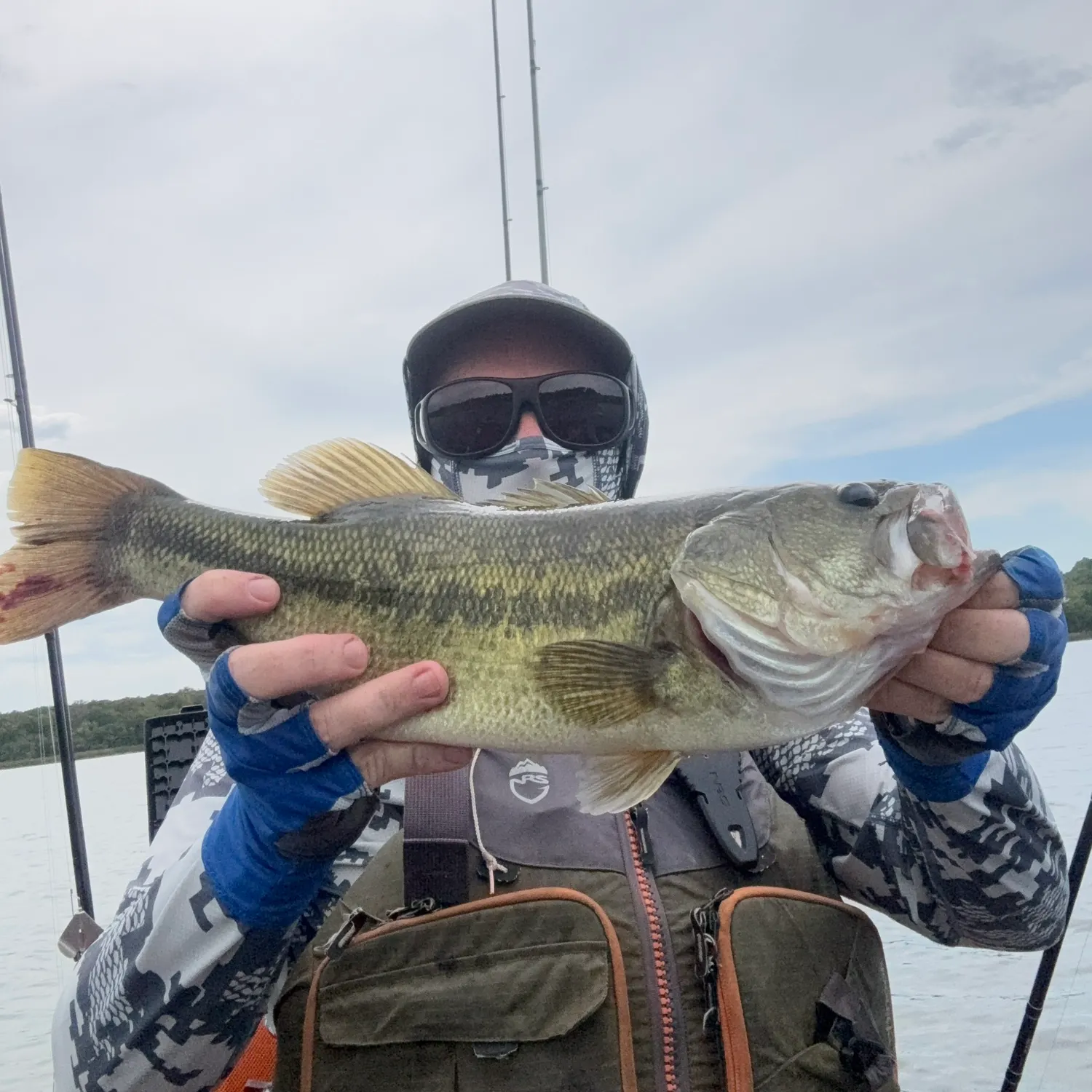 Largemouth bass caught on Fishbrain