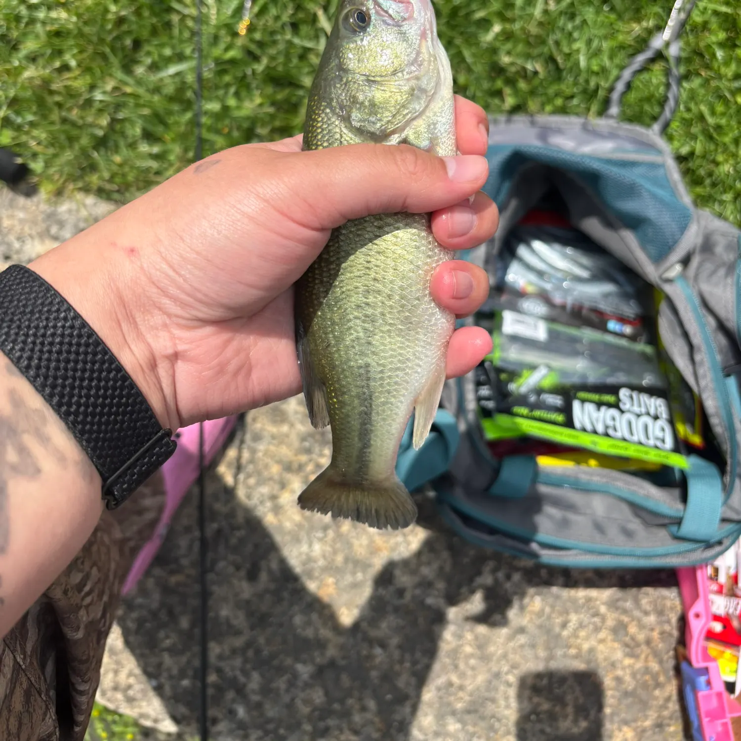 catch