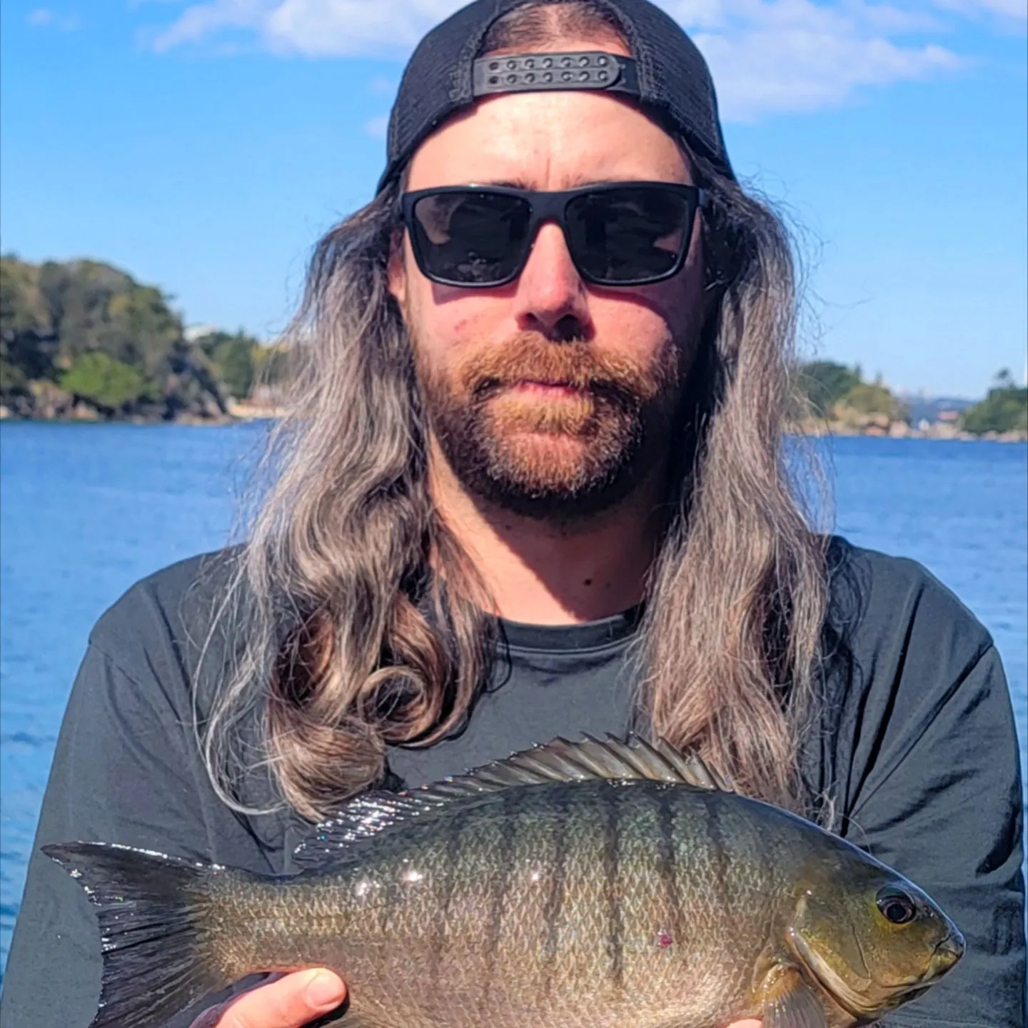 Luderick caught on Fishbrain