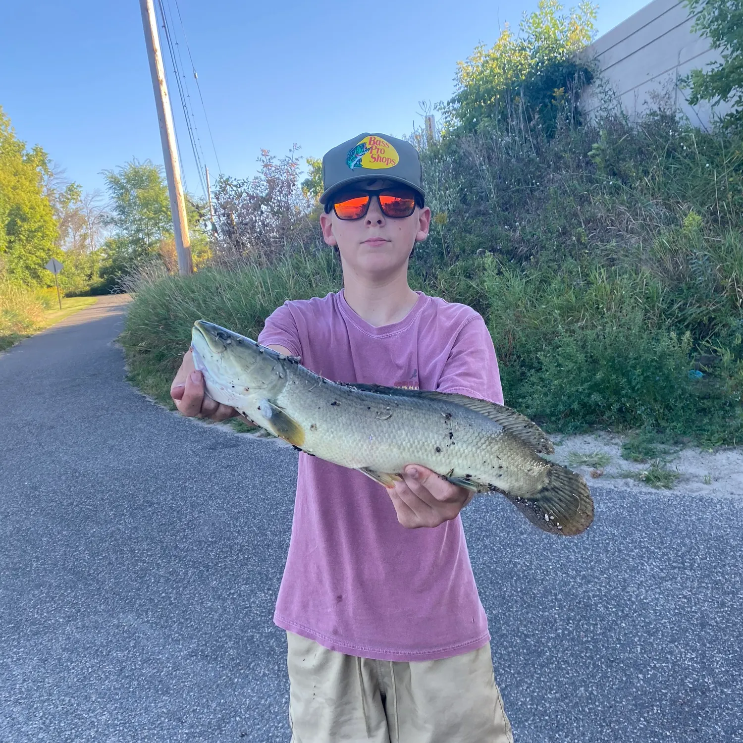 Eyetail bowfin caught on Fishbrain