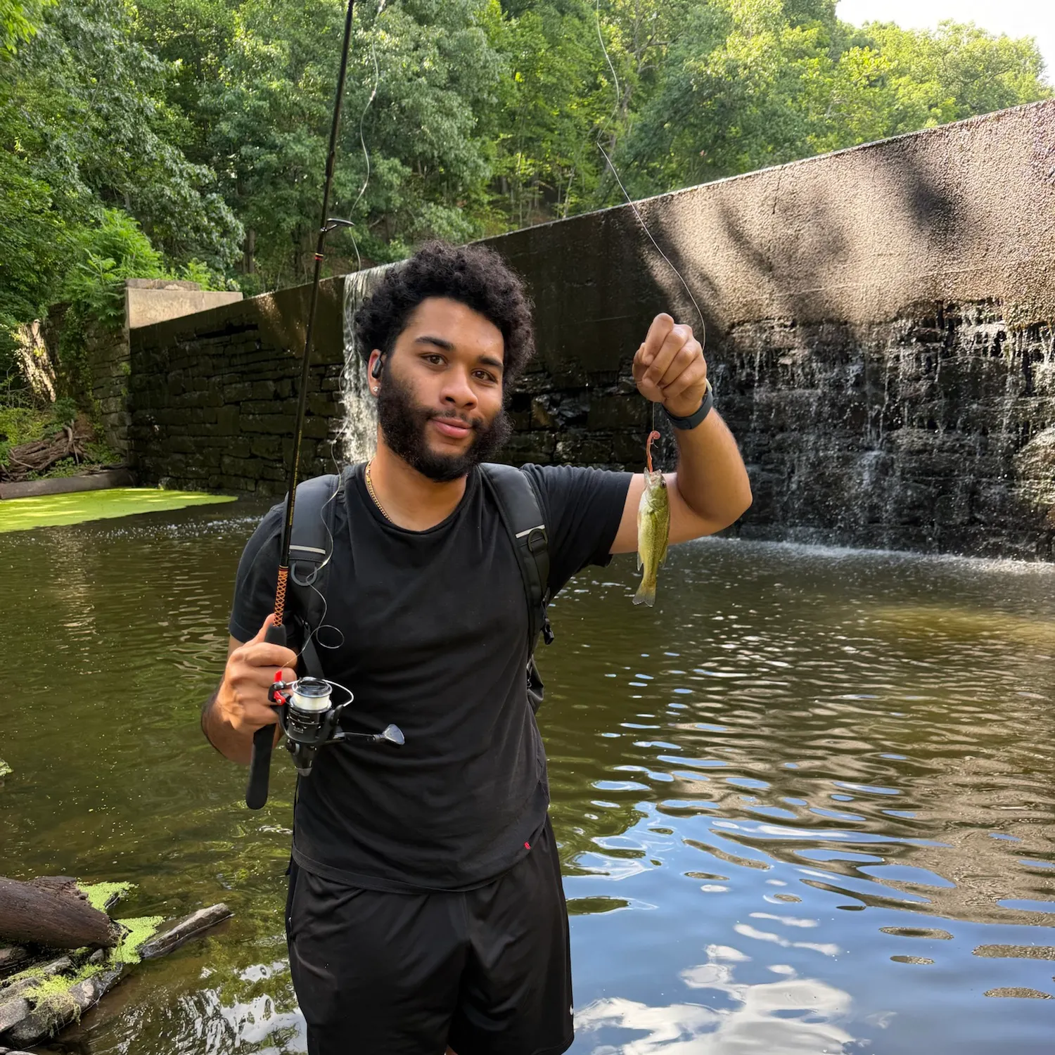 Largemouth bass caught on Fishbrain