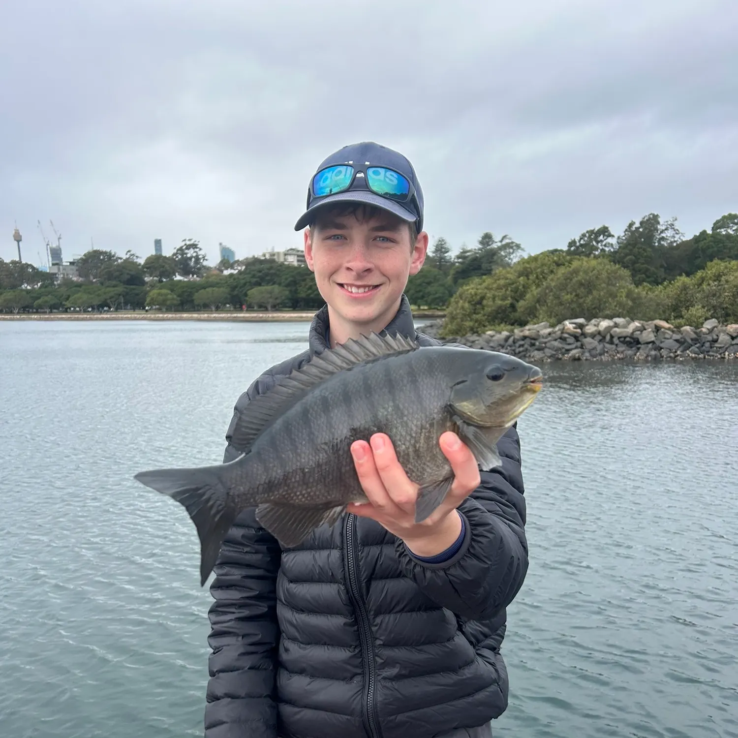 The most recent Luderick catches on Fishbrain
