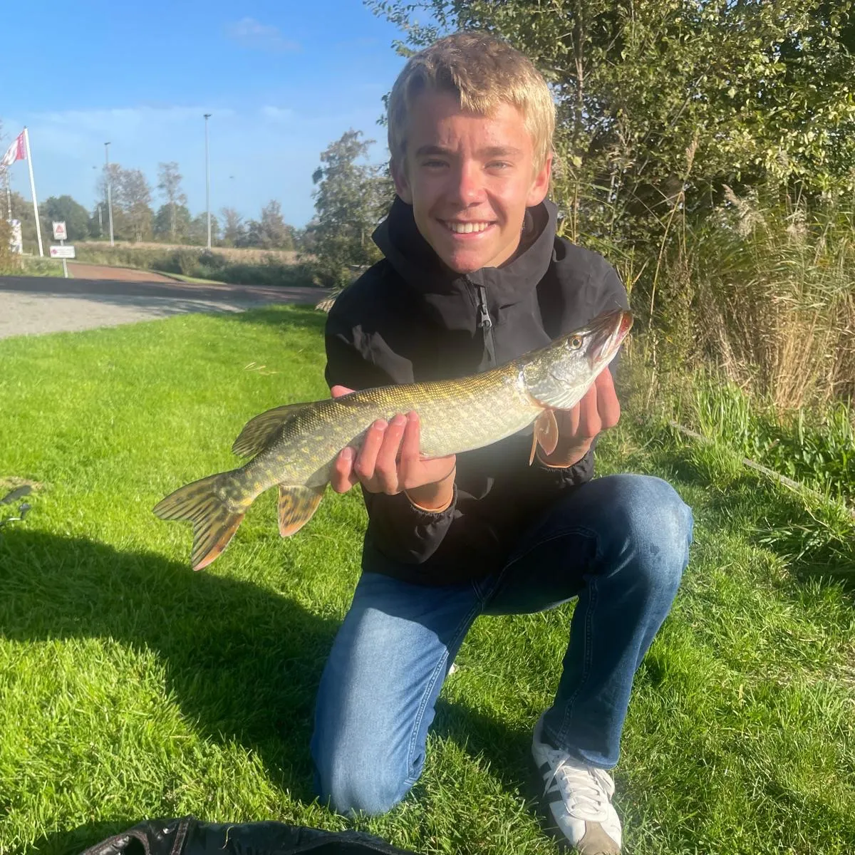 catch