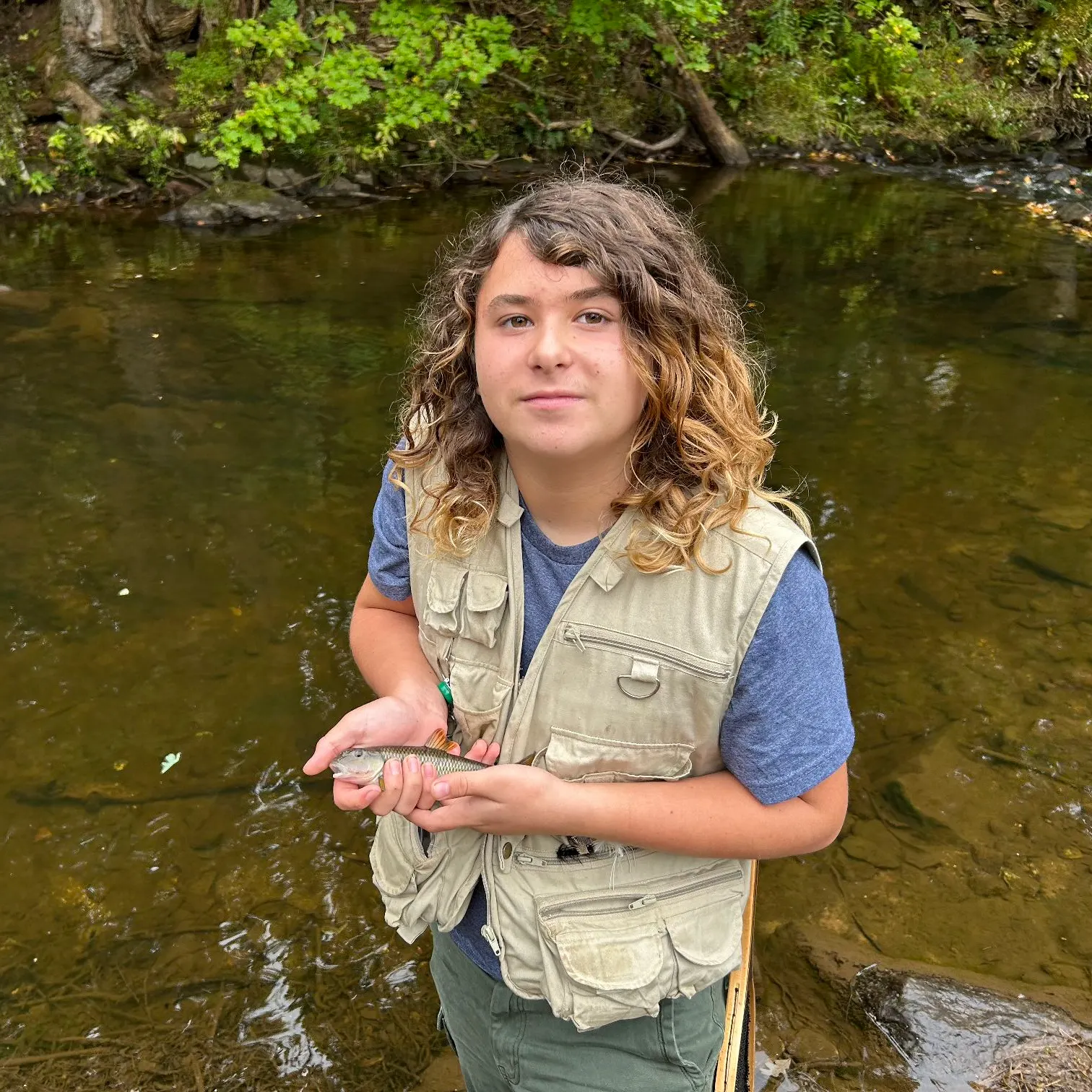 Hornyhead chub caught on Fishbrain