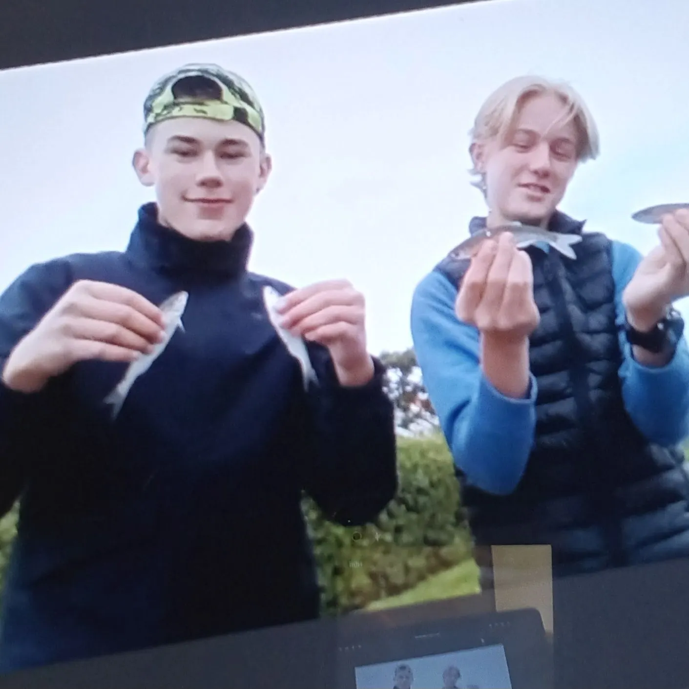 The most recent Vendace catches on Fishbrain