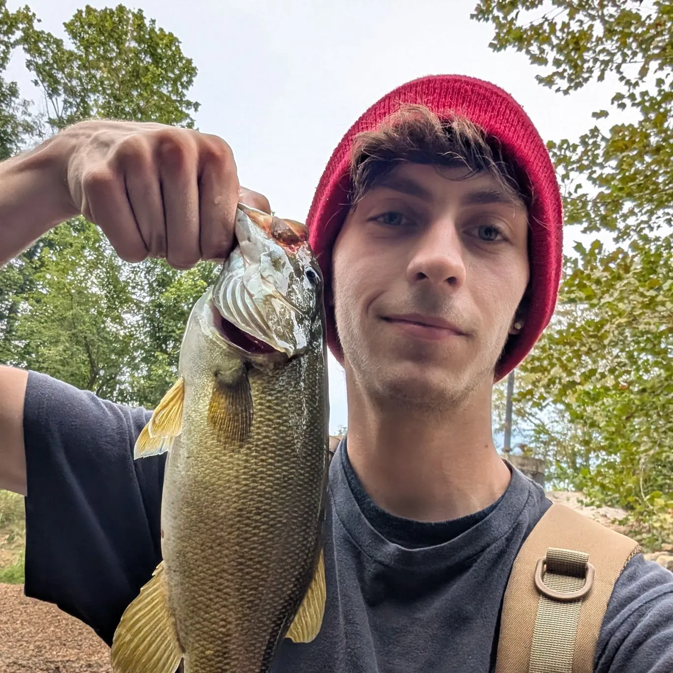 Smallmouth bass caught on Fishbrain