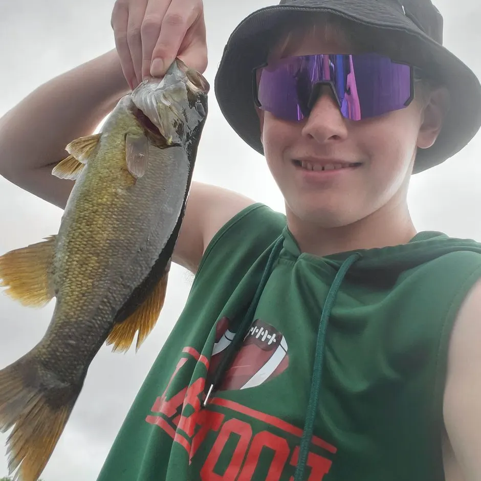 Smallmouth bass caught on Fishbrain