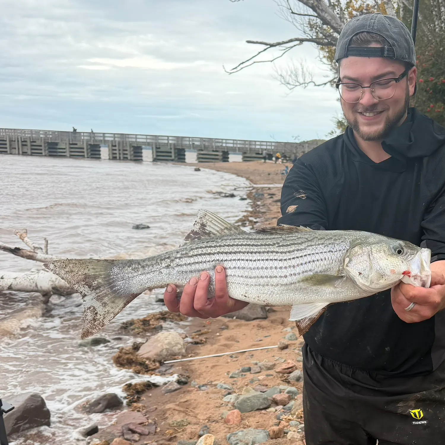 Striped bass caught on Fishbrain