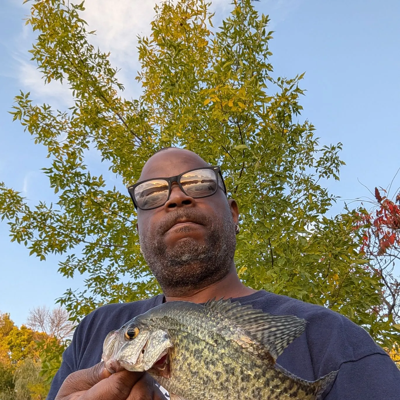 Black crappie caught on Fishbrain