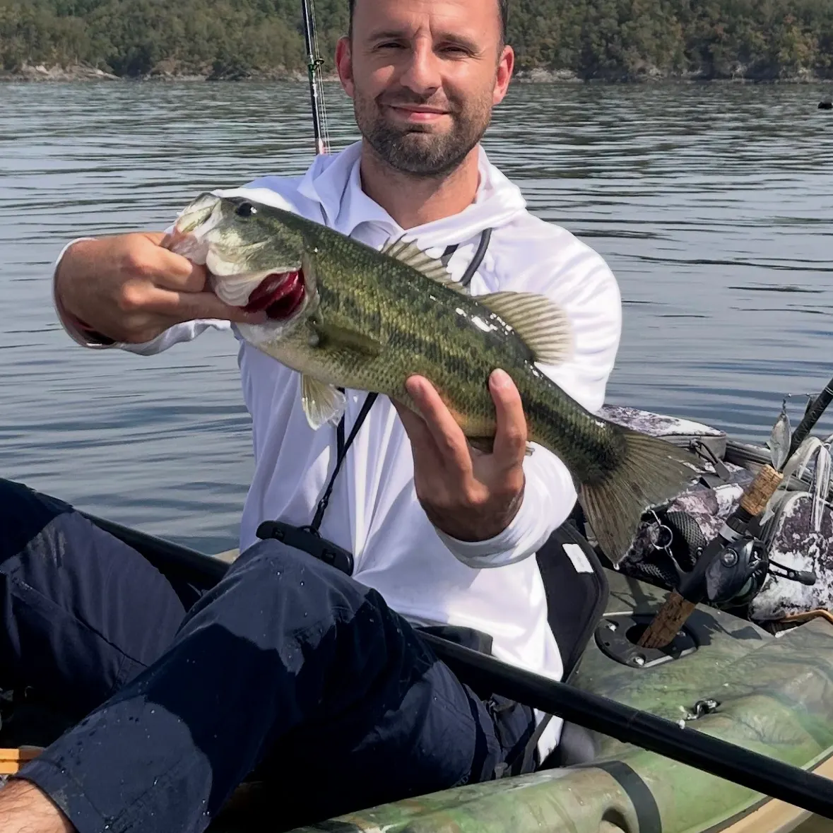 Largemouth bass caught on Fishbrain