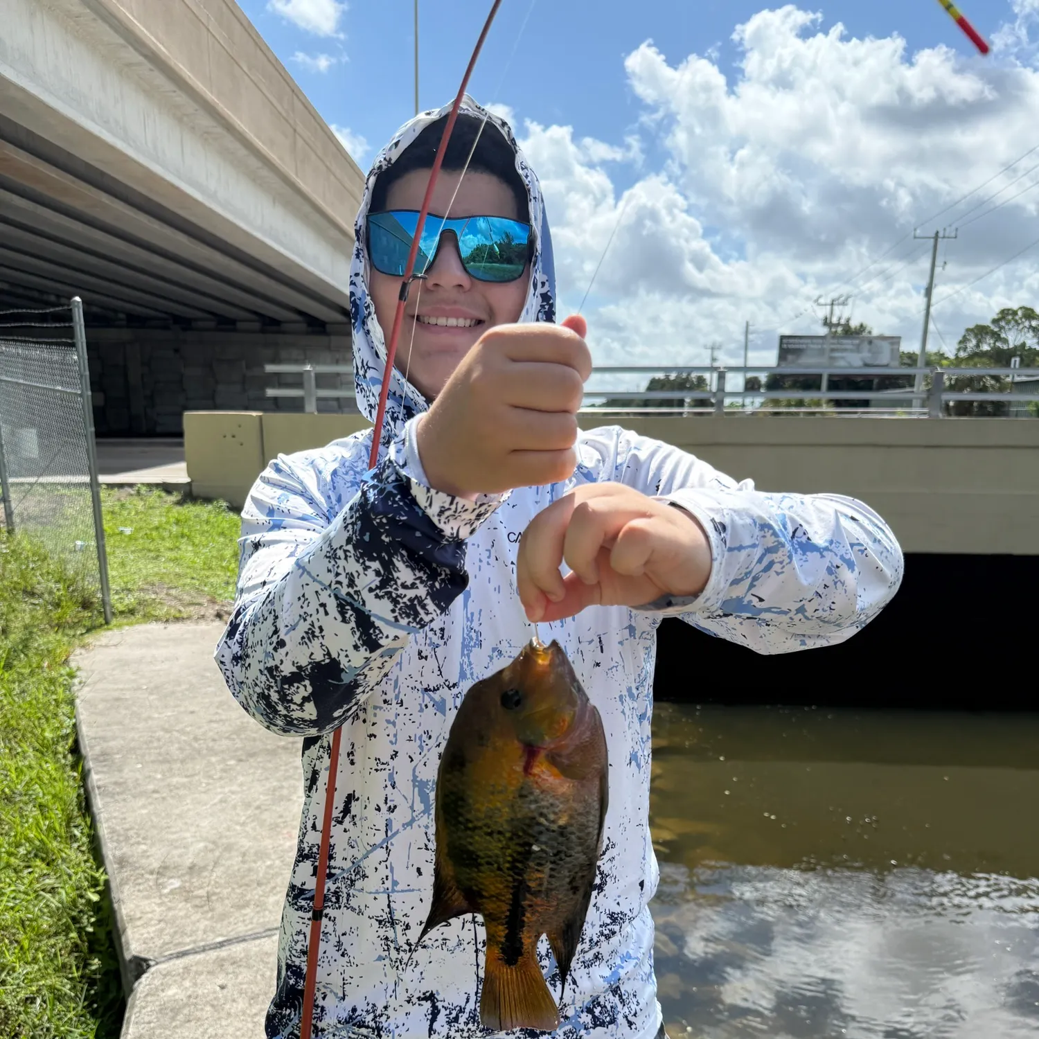 The most recent Redhead cichlid catches on Fishbrain