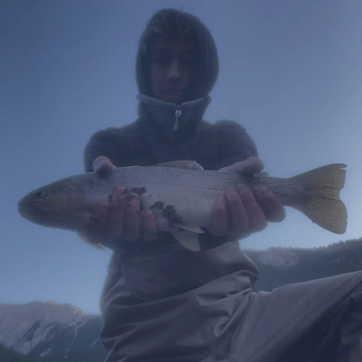 The most recent Westslope cutthroat trout catches on Fishbrain
