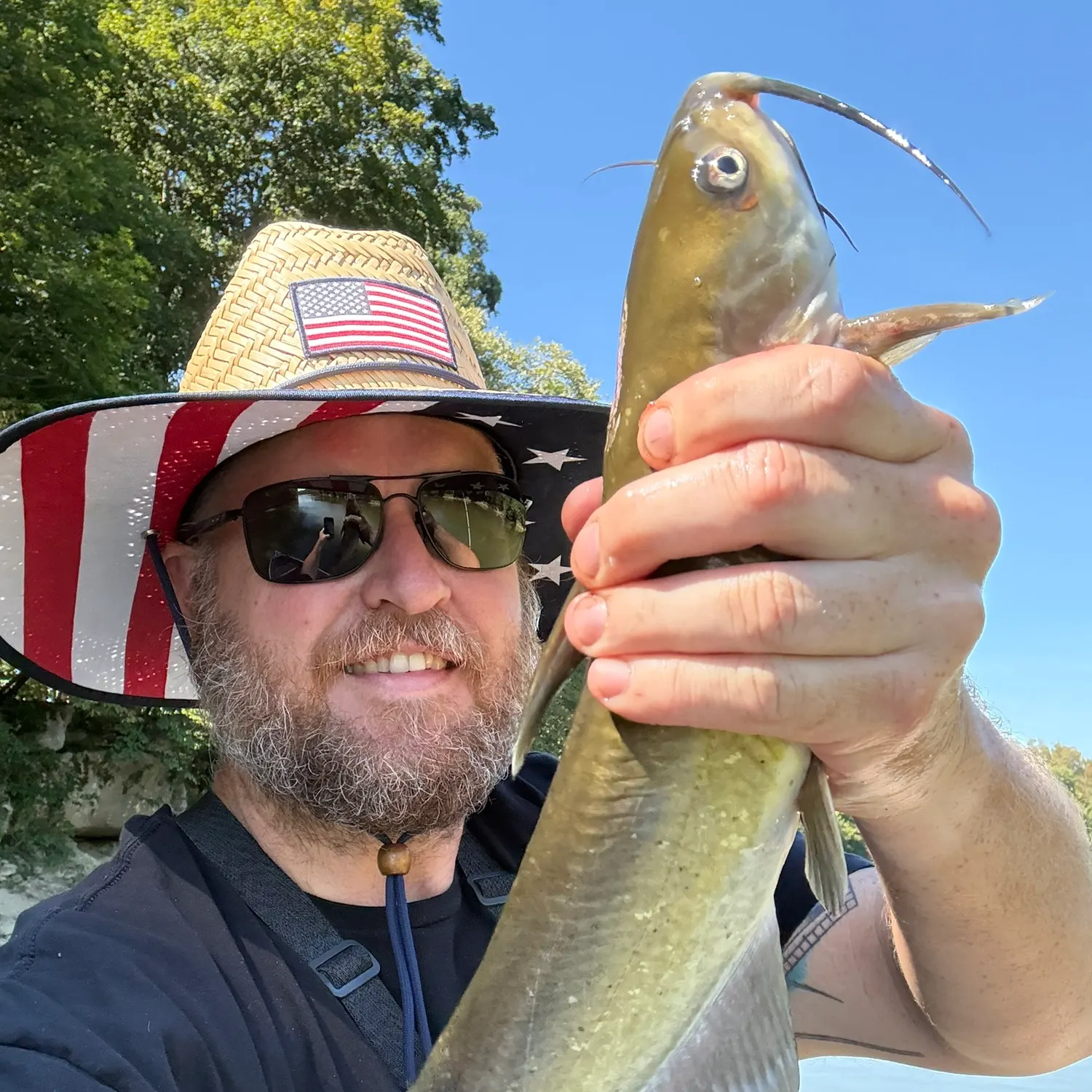 Channel catfish caught on Fishbrain
