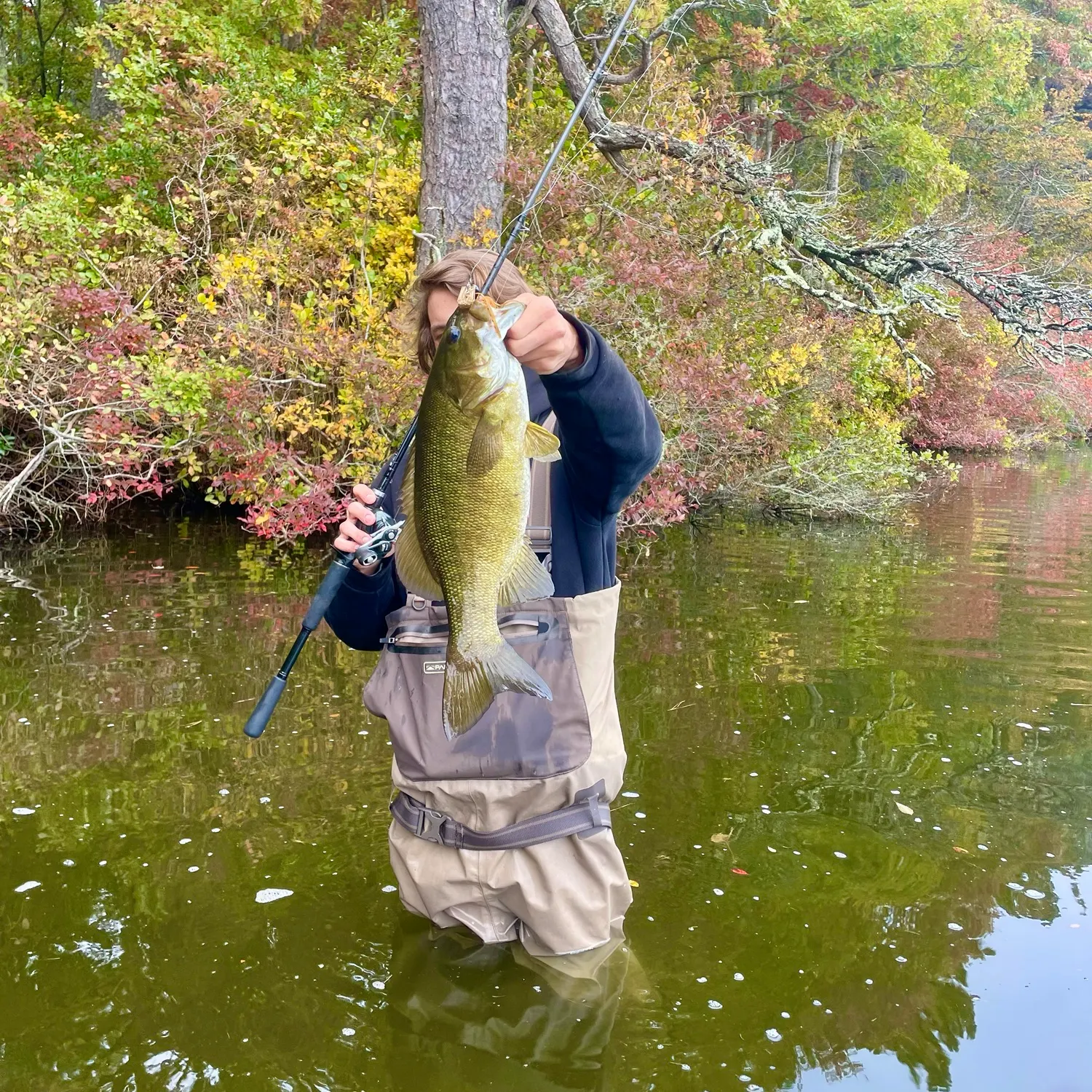 Smallmouth bass caught on Fishbrain