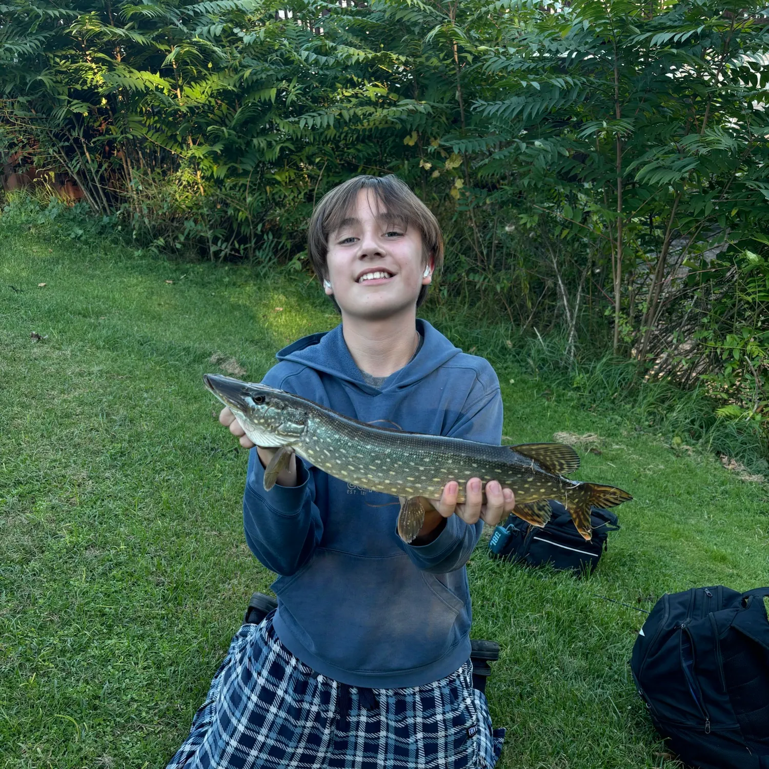 Northern pike caught on Fishbrain