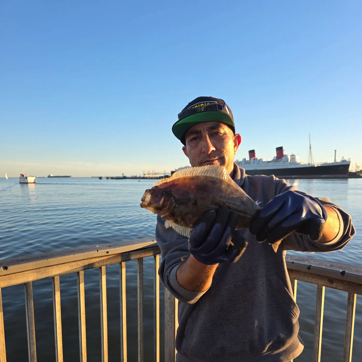 The most recent California halibut catches on Fishbrain