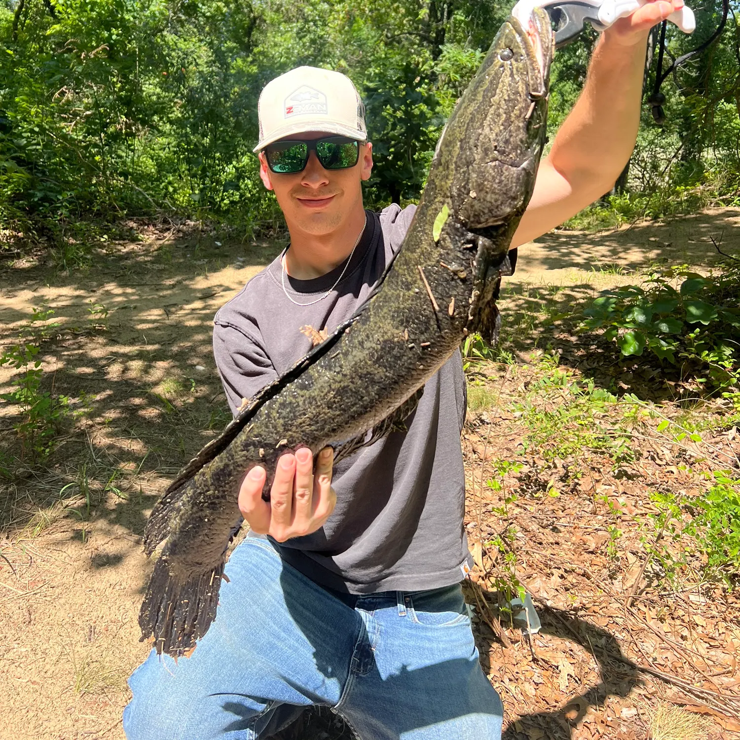 The most recent Northern snakehead catches on Fishbrain