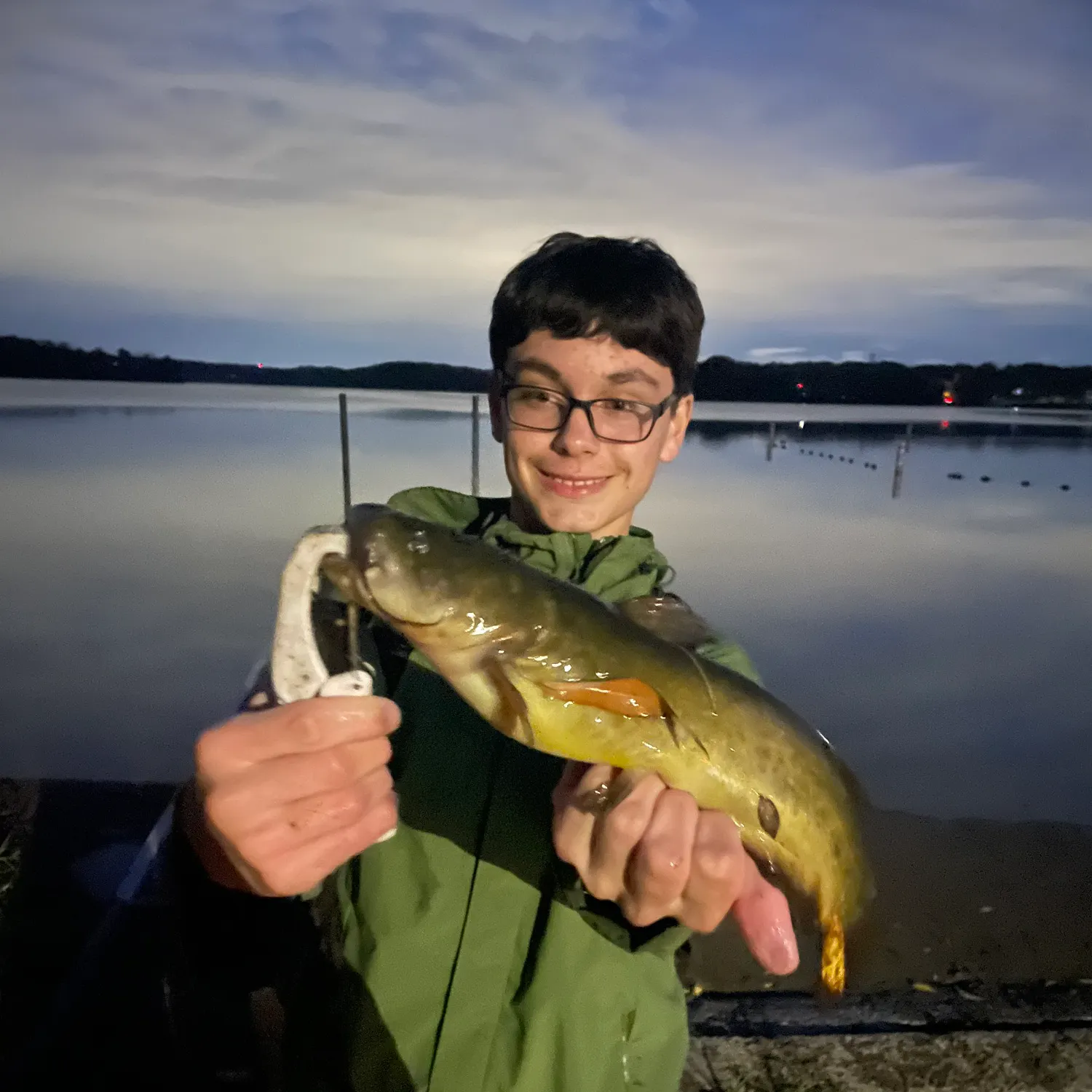 Yellow bullhead caught on Fishbrain