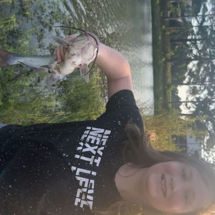Channel catfish caught on Fishbrain