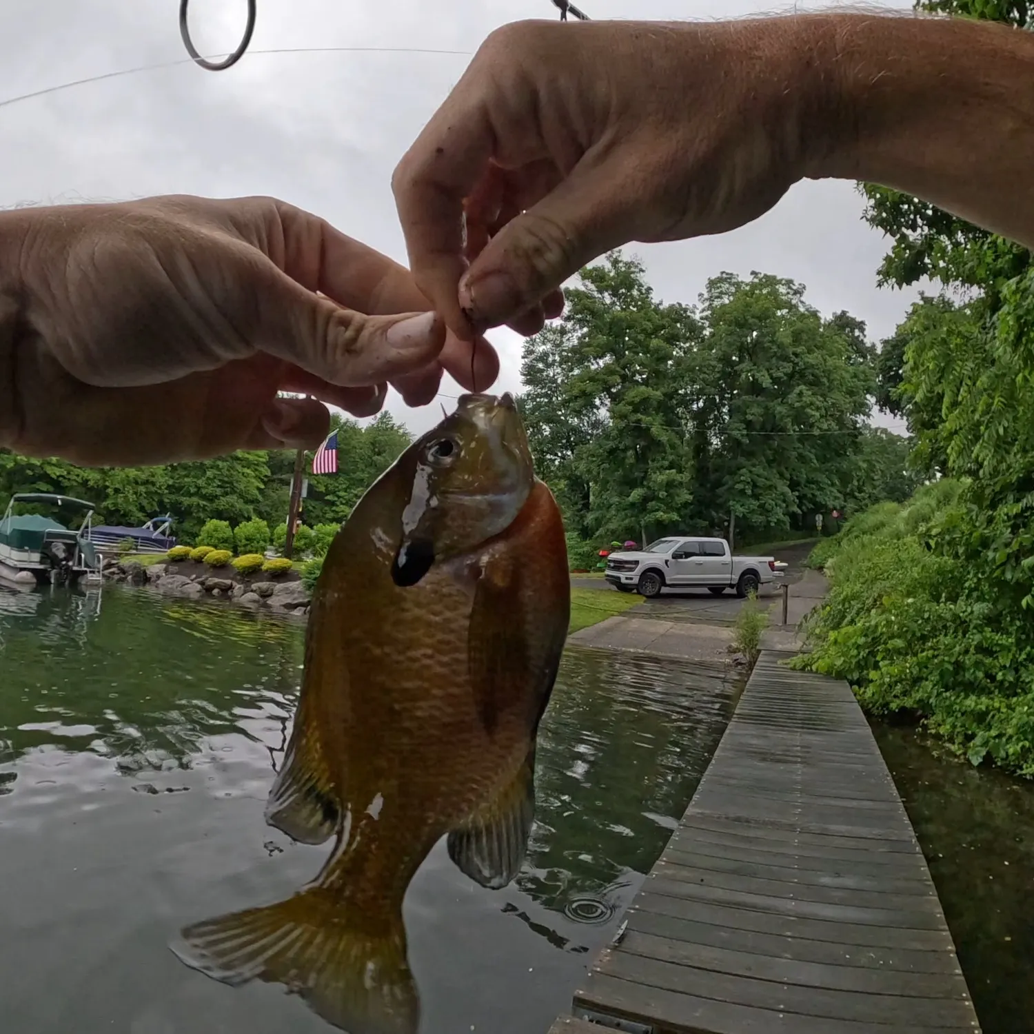 catch