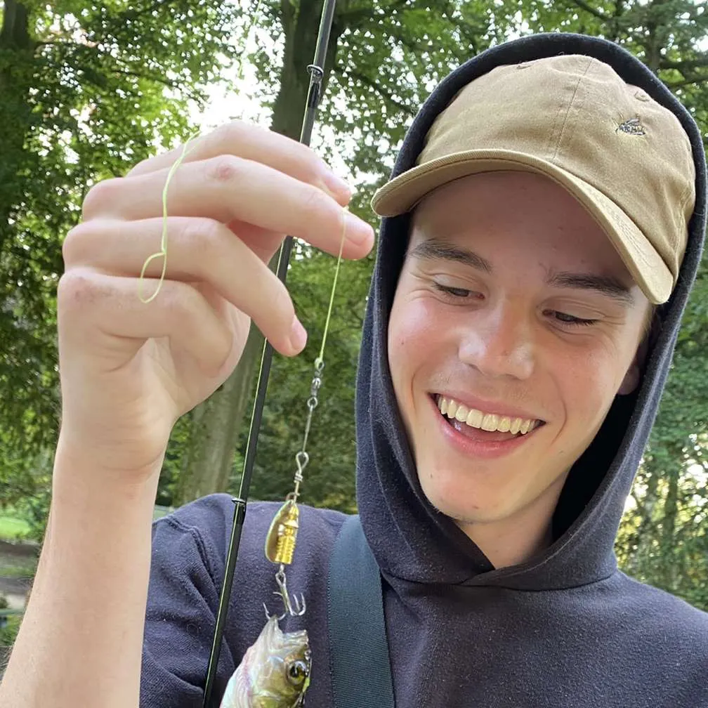 The most recent European perch catches on Fishbrain