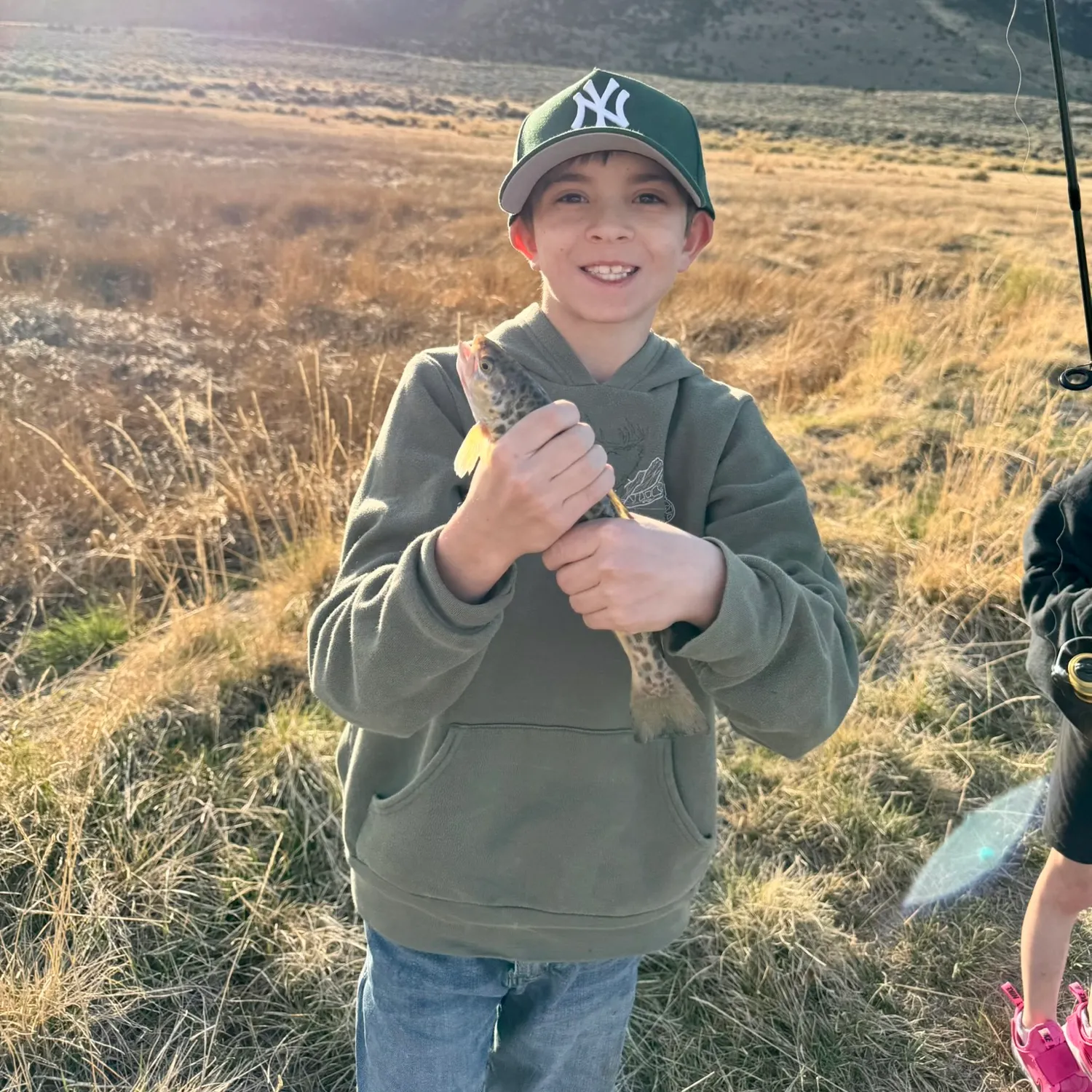 The most recent Tiger trout catches on Fishbrain