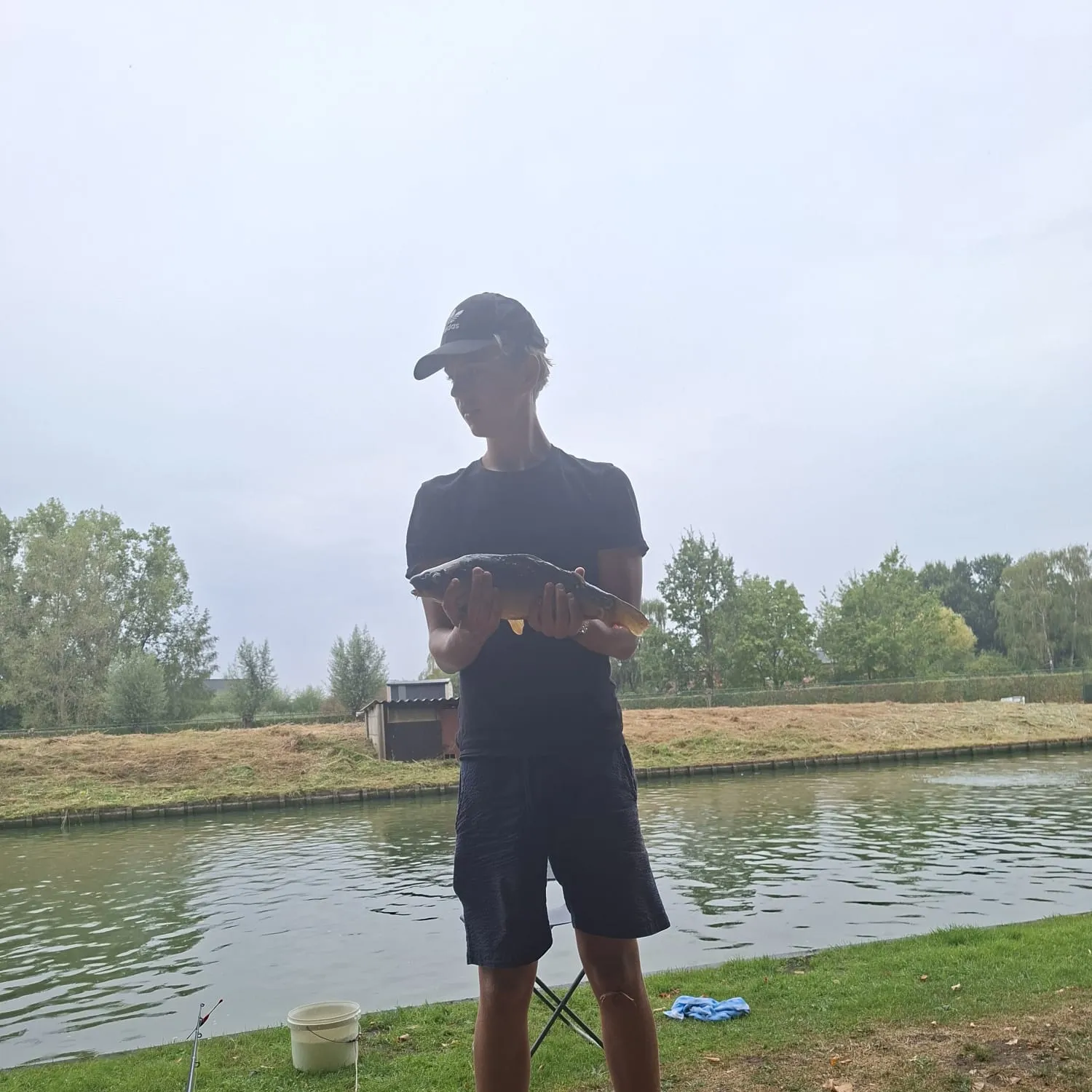 Common carp caught on Fishbrain