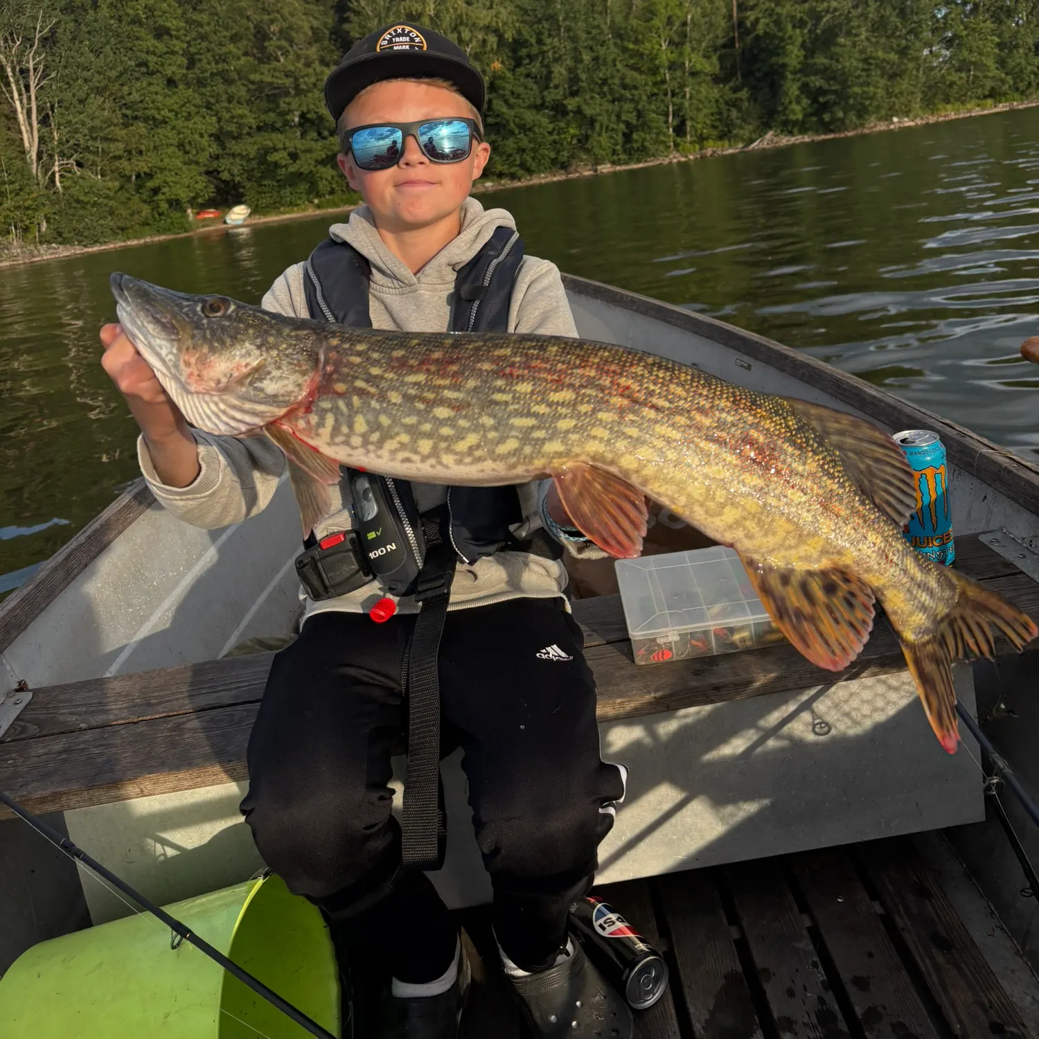 Northern pike caught on Fishbrain