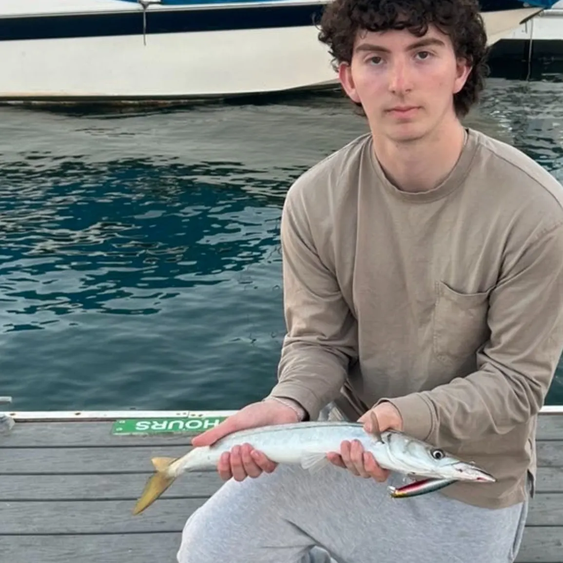 The most recent Pacific barracuda catches on Fishbrain