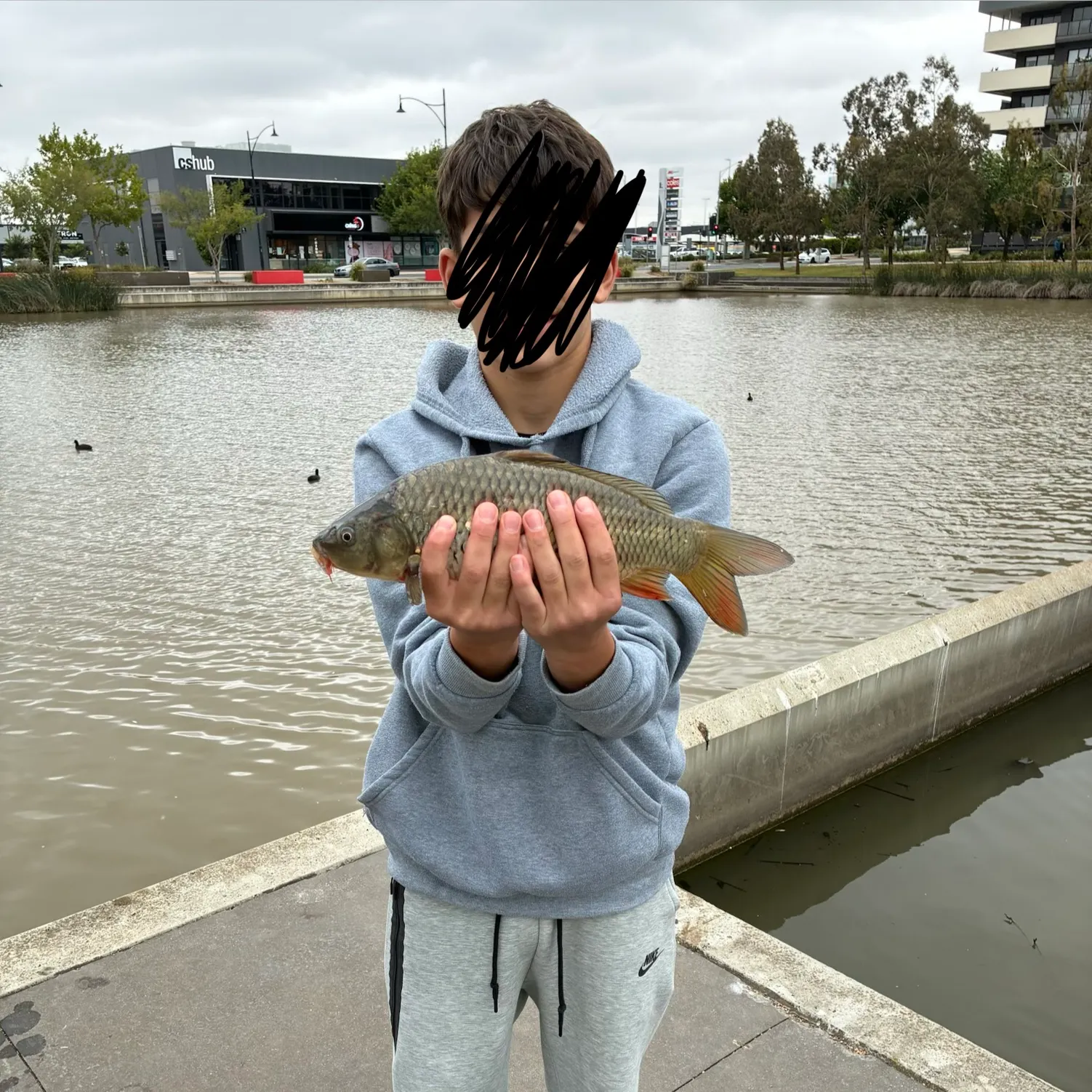 The most recent Common carp catches on Fishbrain