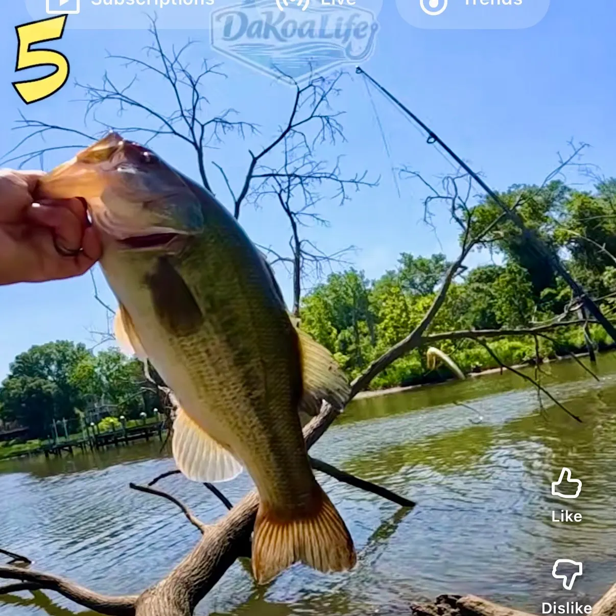 recently logged catches