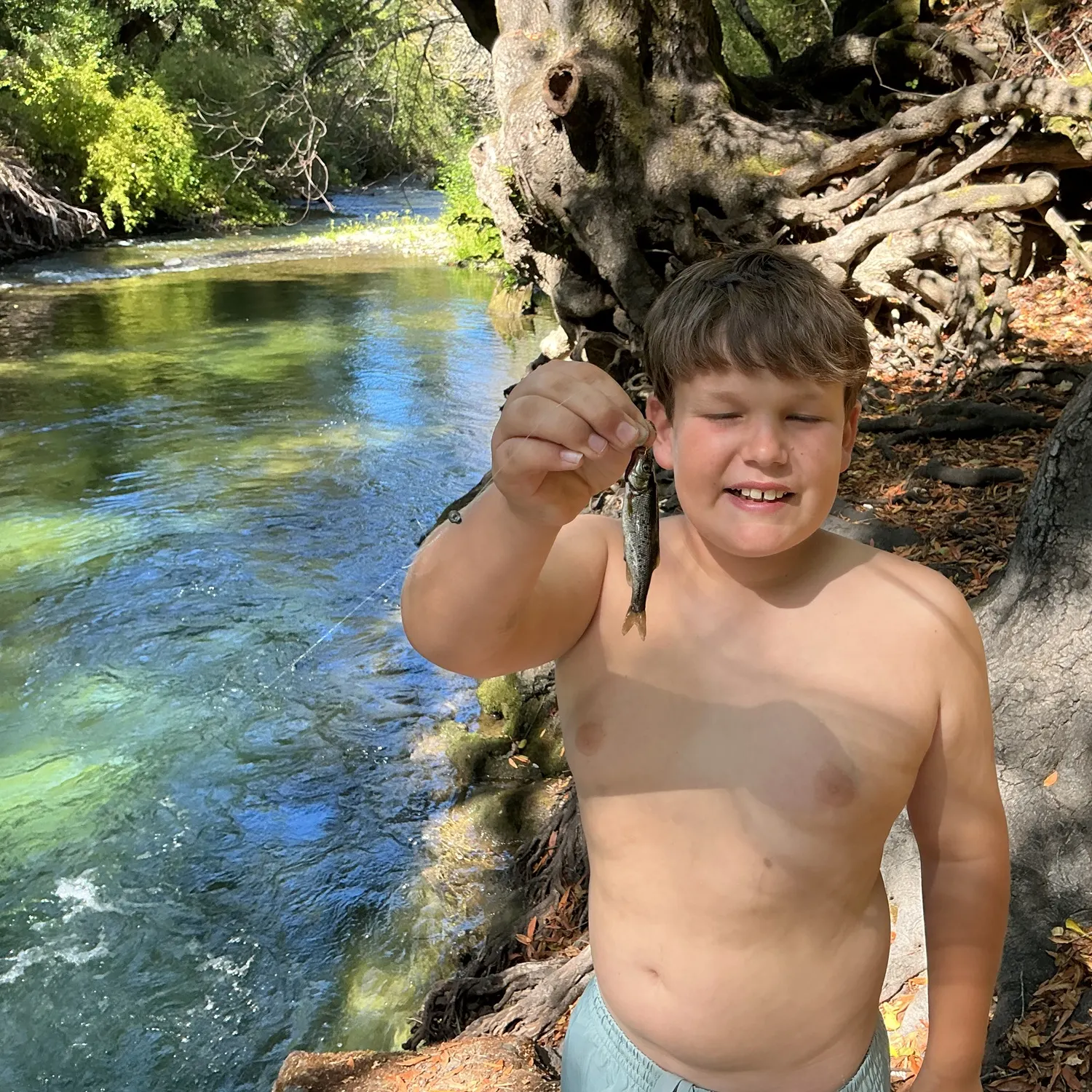 Northern pikeminnow caught on Fishbrain
