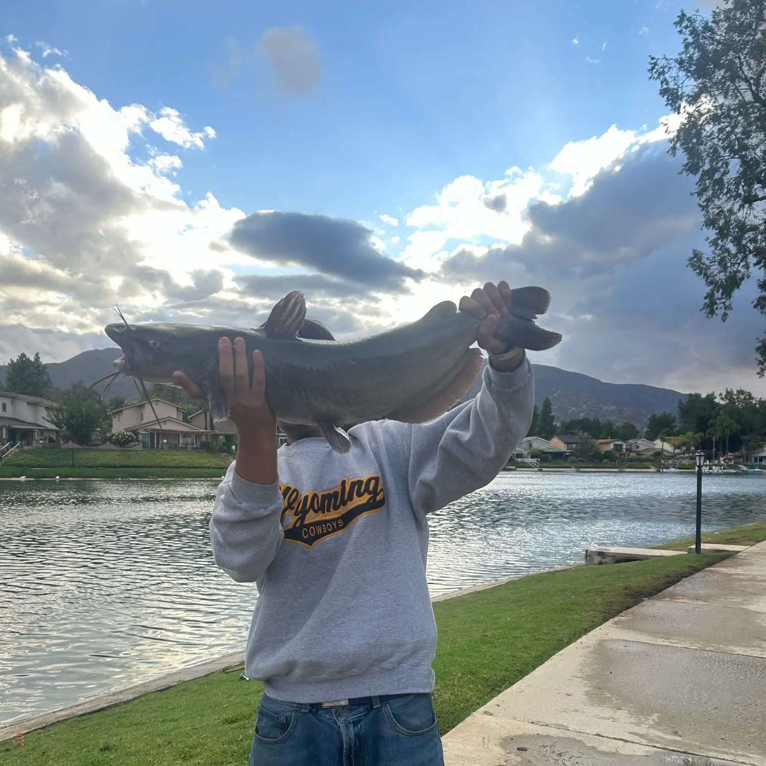 Channel catfish caught on Fishbrain