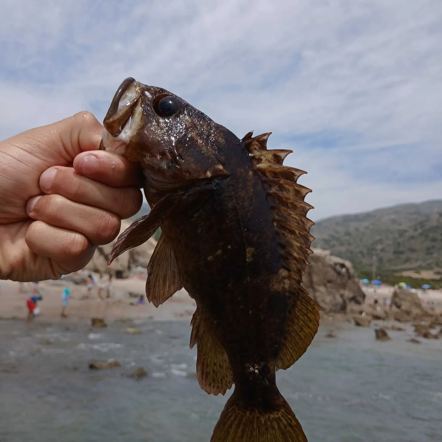 catch