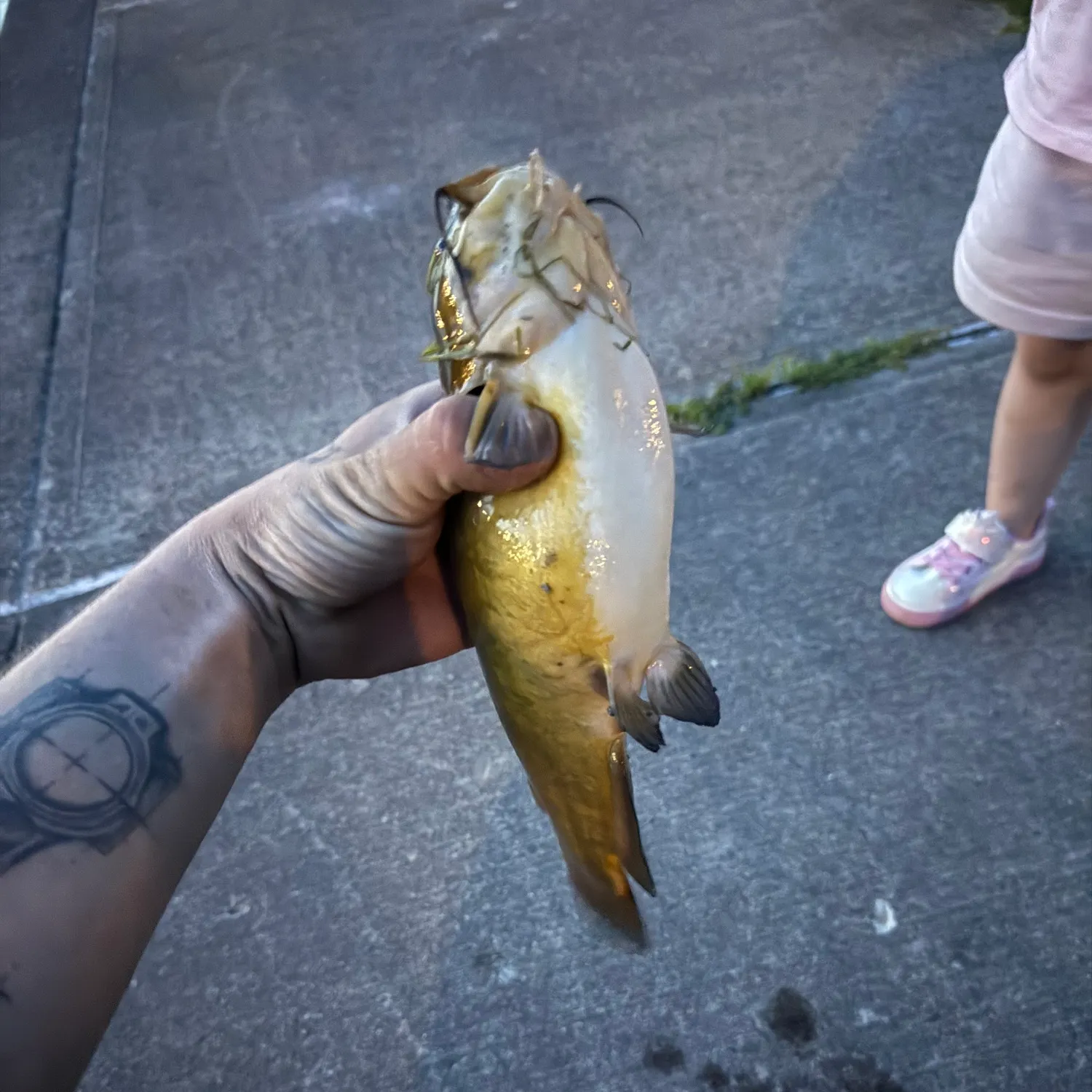 catch