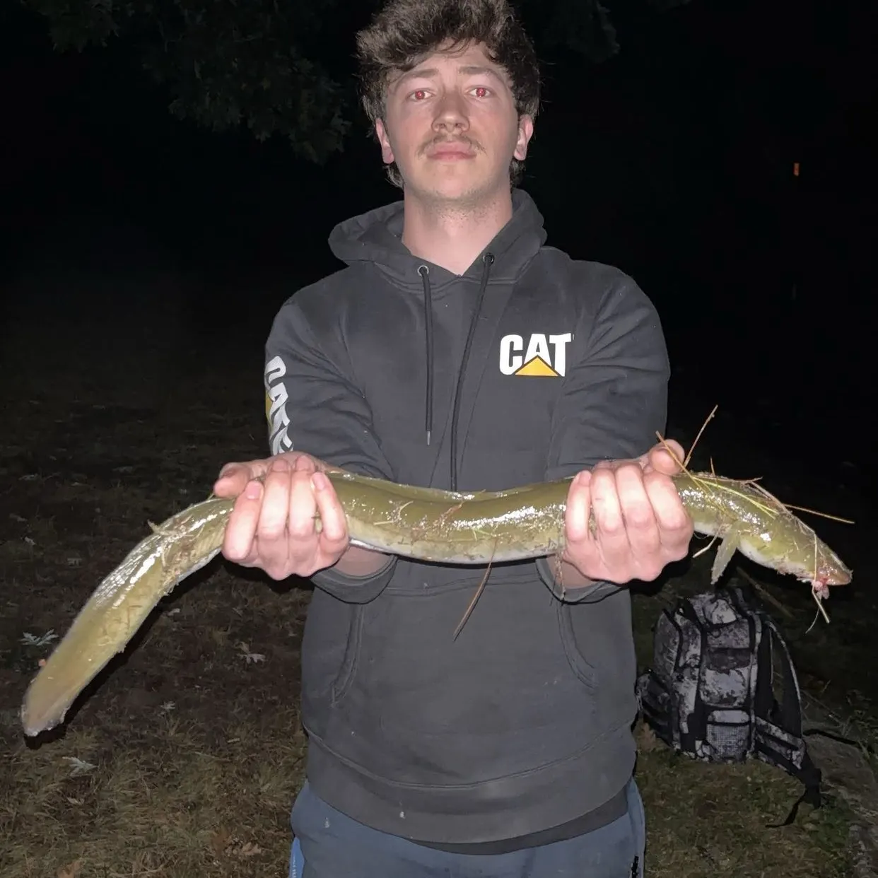 American eel caught on Fishbrain