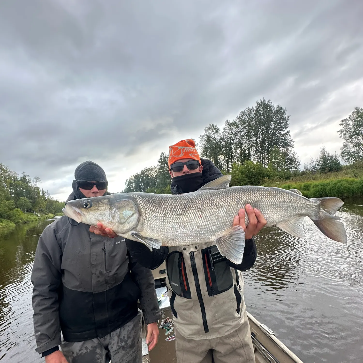 The most recent Inconnu catches on Fishbrain