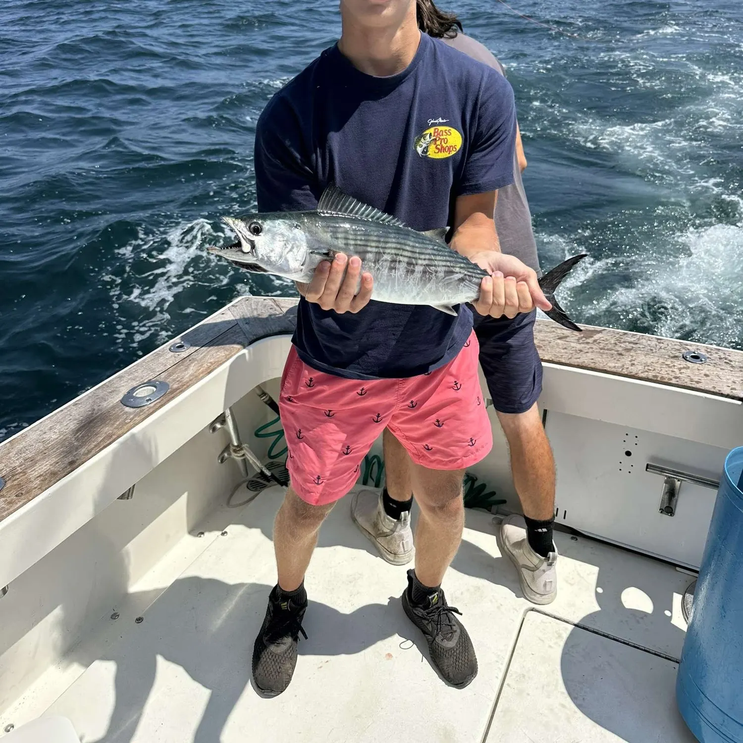 The most recent Atlantic bonito catches on Fishbrain