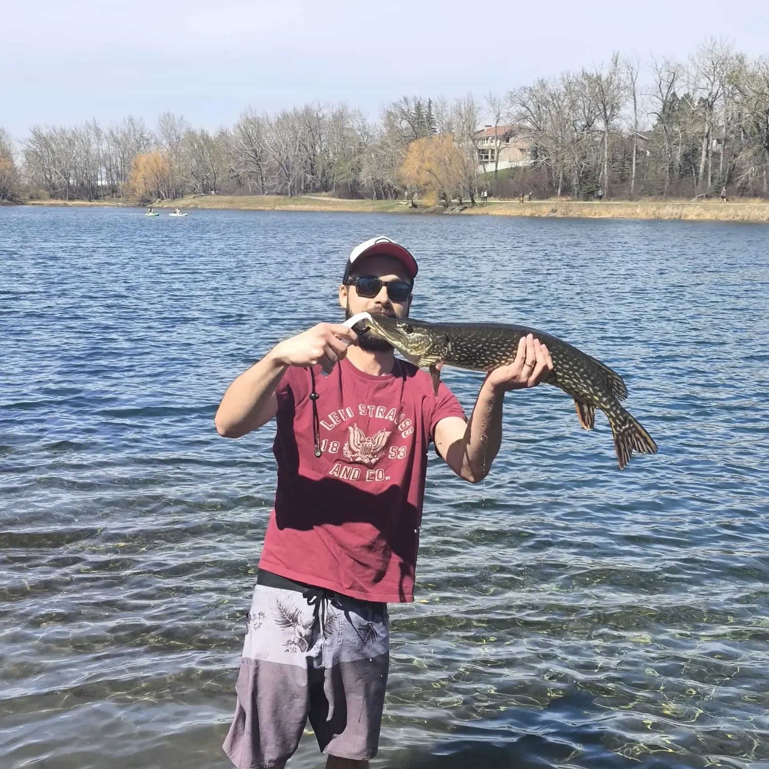 catch
