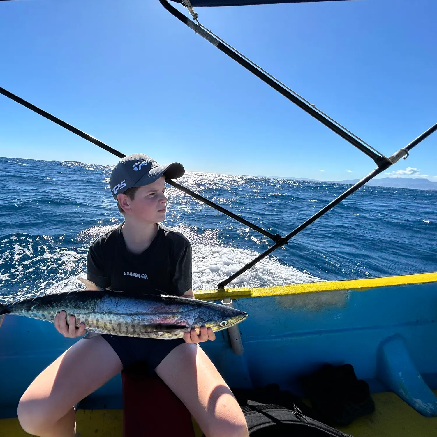 The most recent Narrow-barred Spanish mackerel catches on Fishbrain