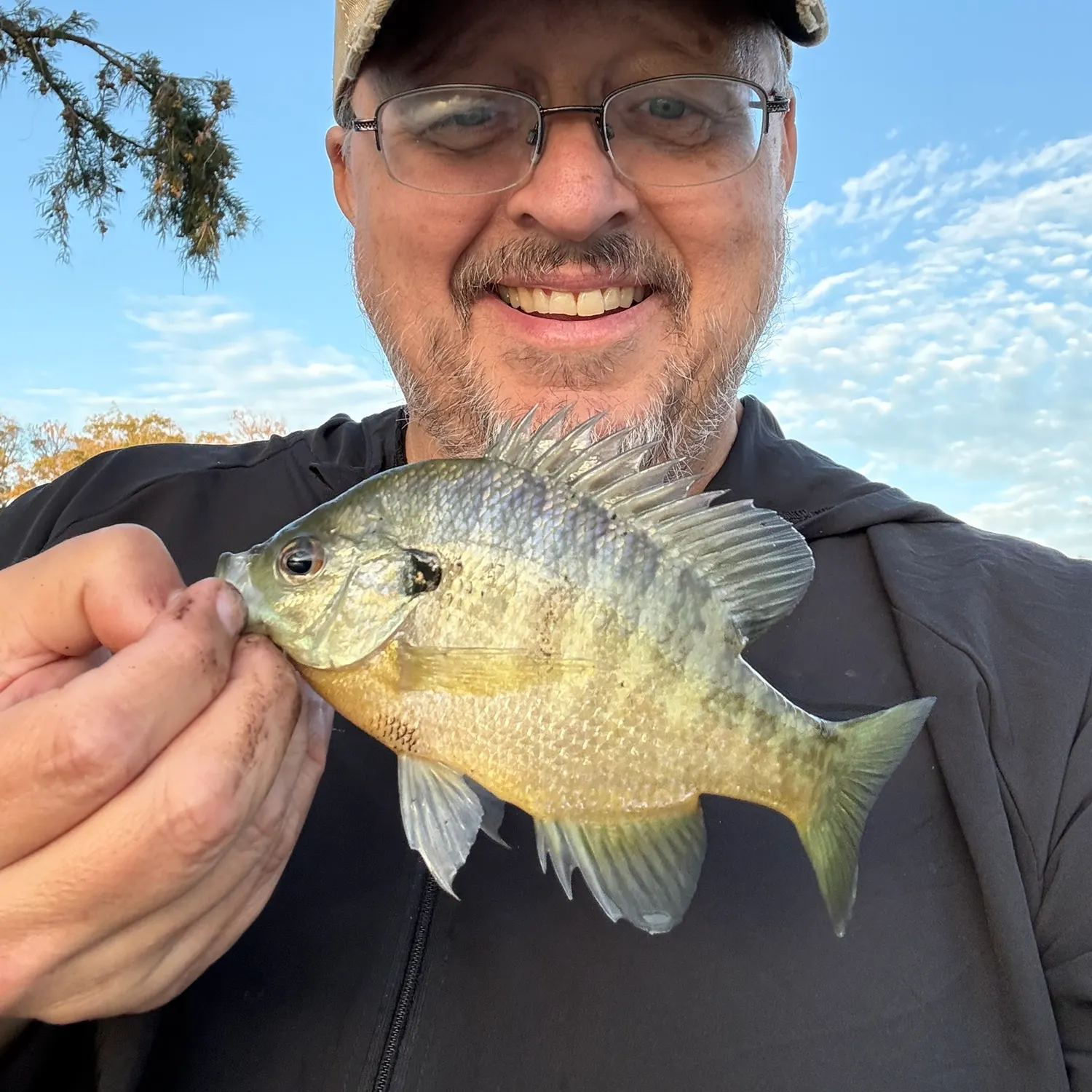 Bluegill caught on Fishbrain
