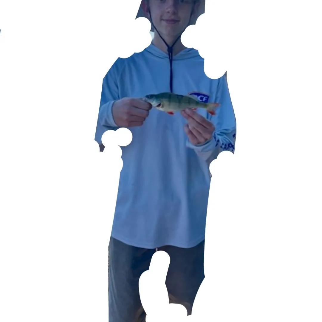 European perch caught on Fishbrain