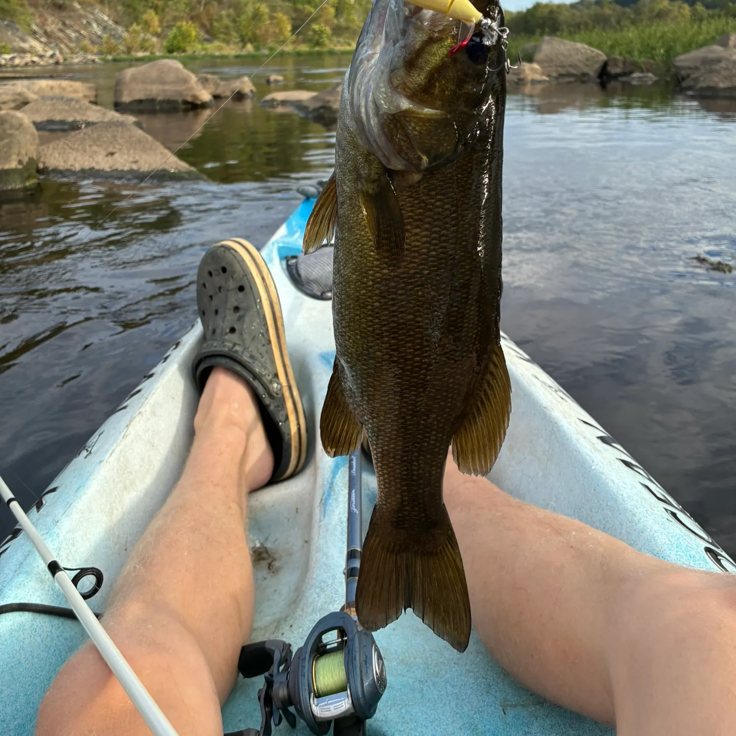 Smallmouth bass caught on Fishbrain