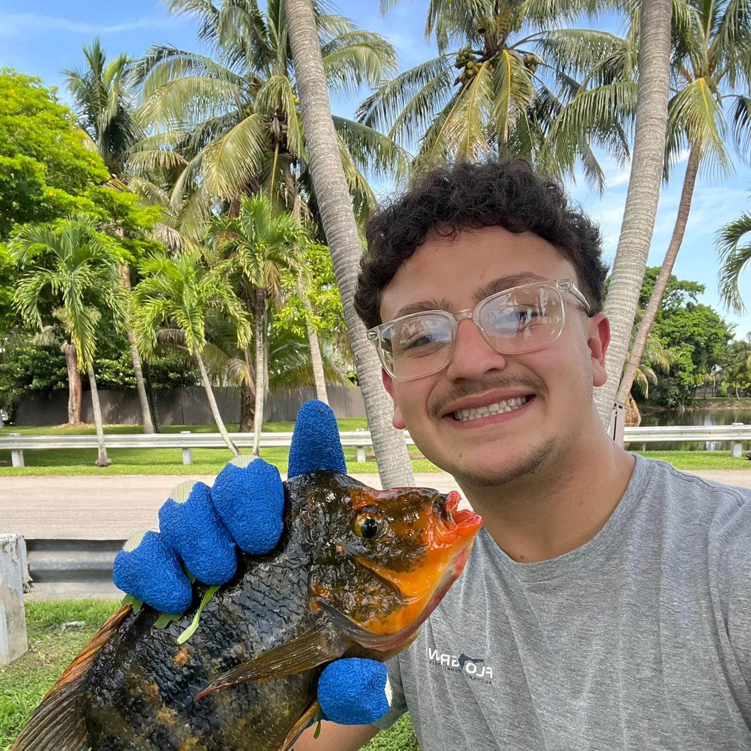 The most recent Midas cichlid catches on Fishbrain