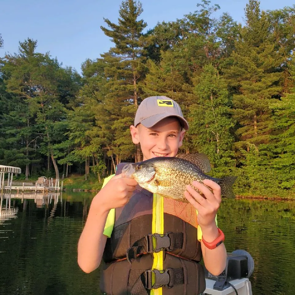 The most recent Black crappie catches on Fishbrain