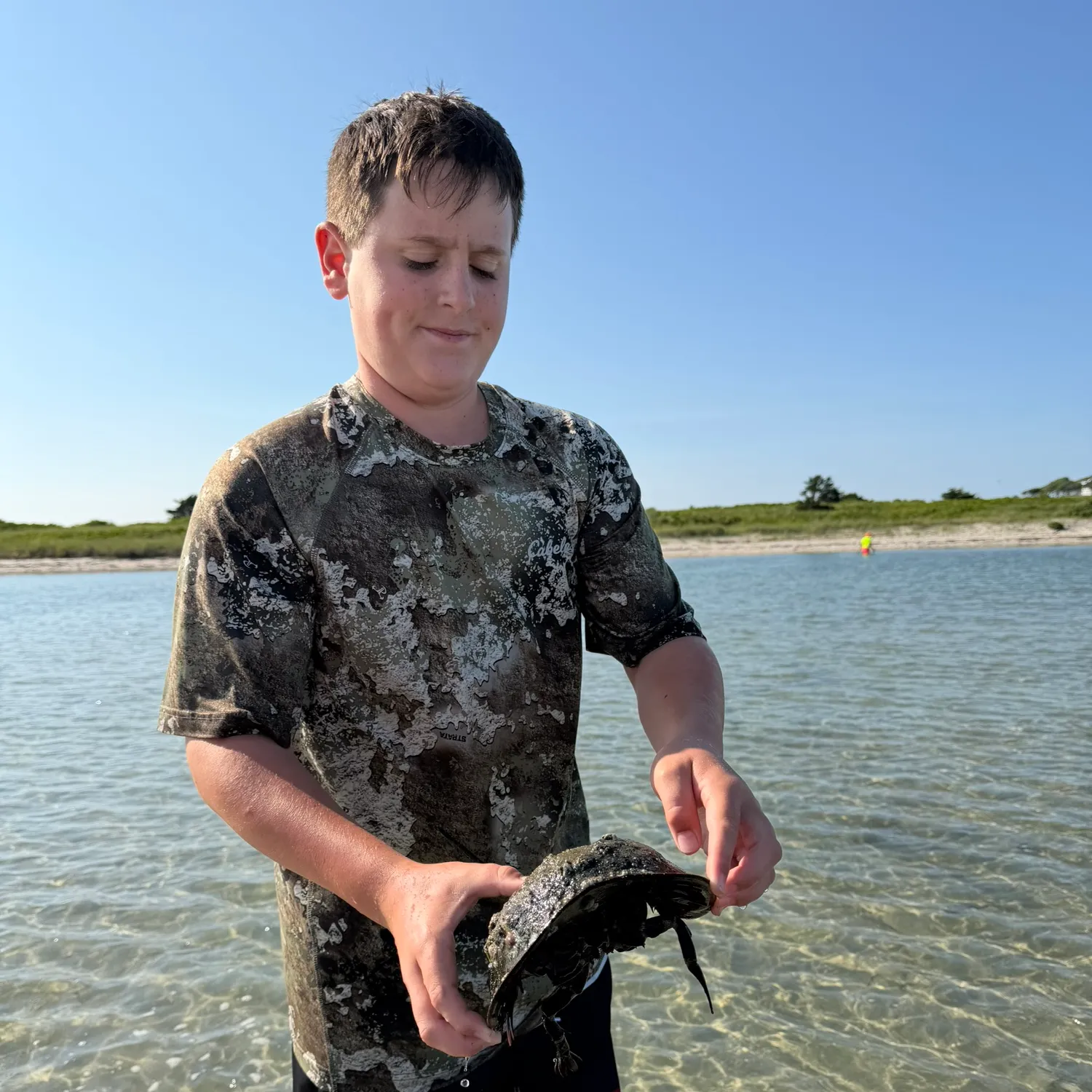 The most recent Atlantic horseshoe crab catches on Fishbrain