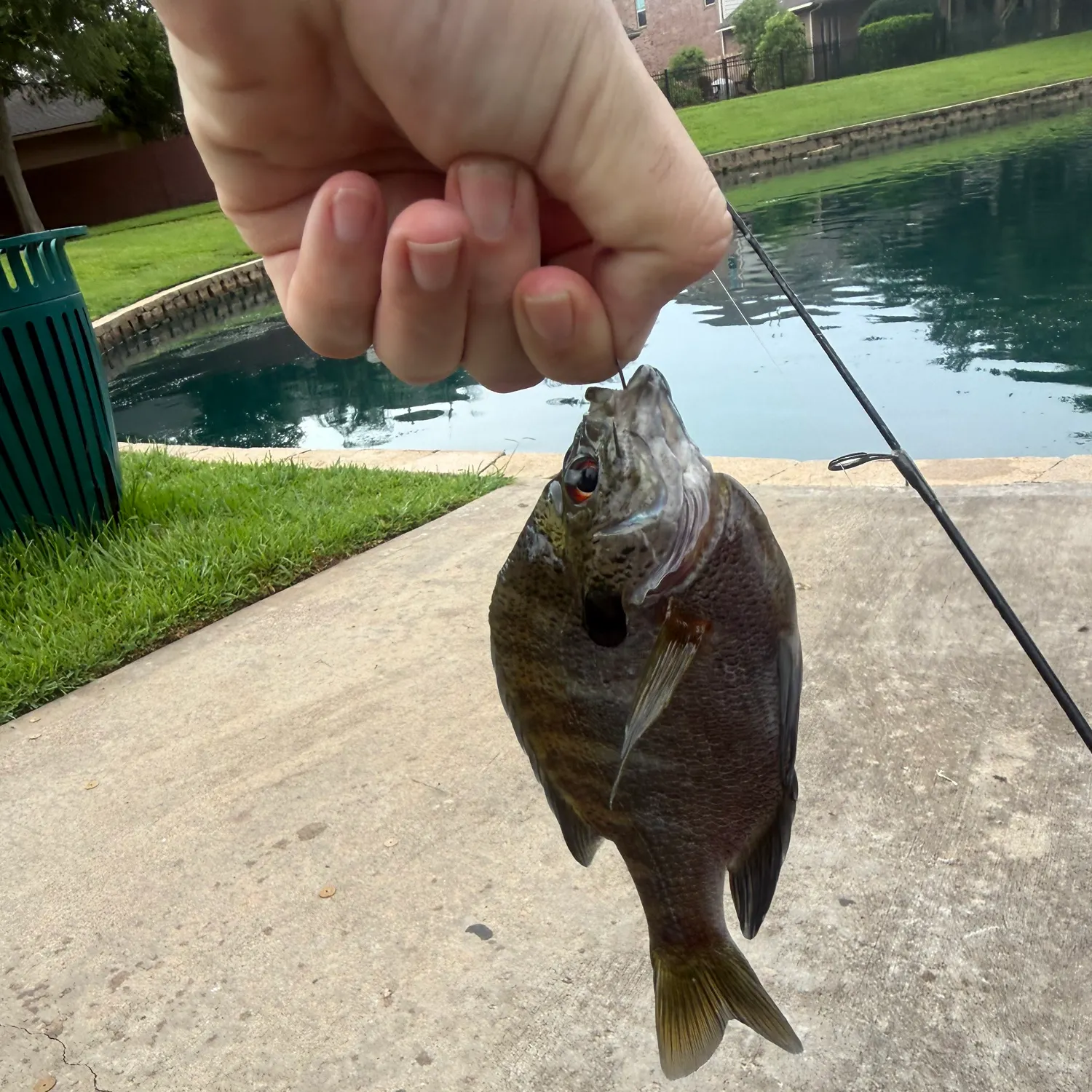 catch
