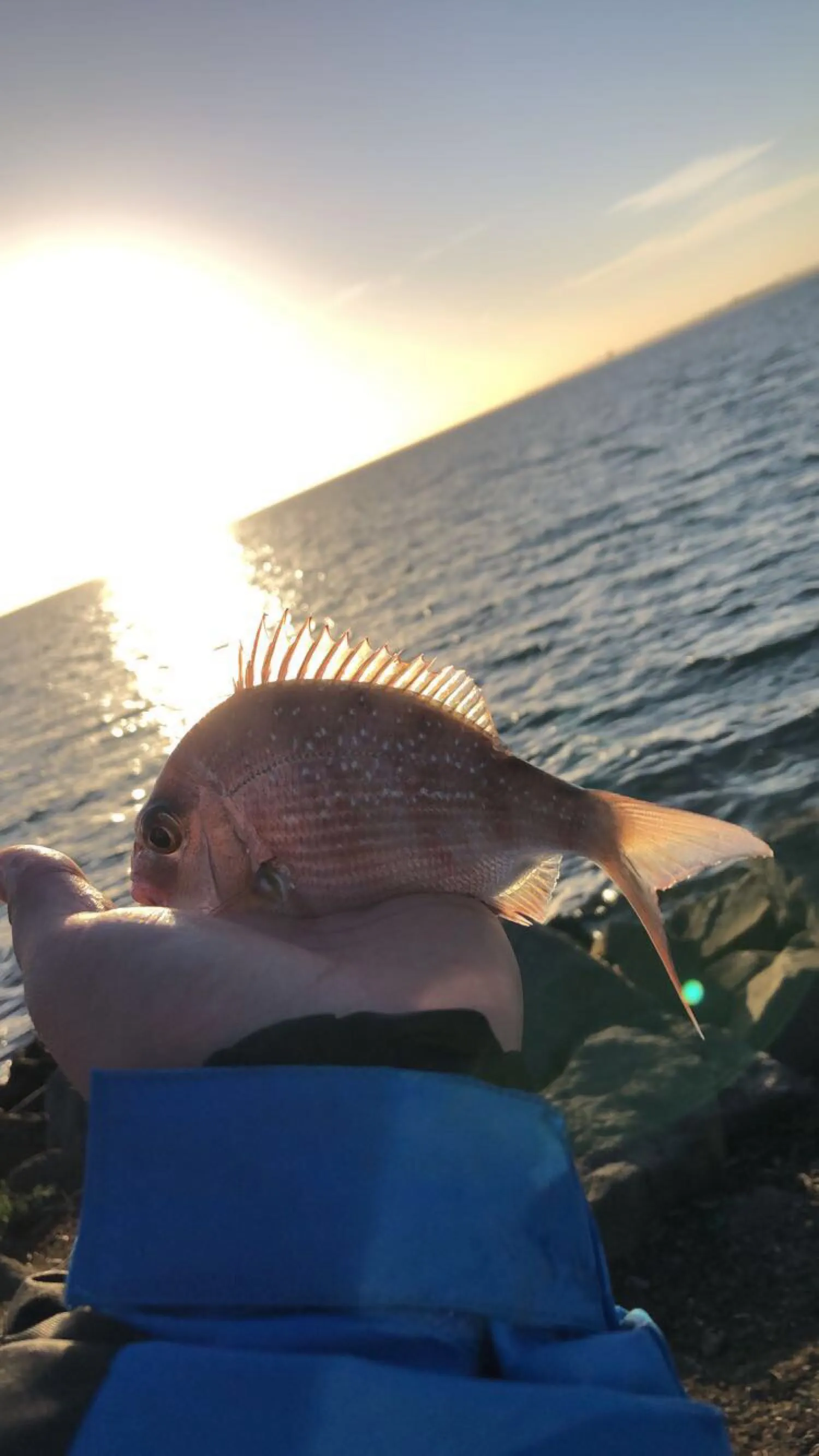 Post image from JAMZO_